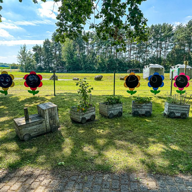 Holzzug mit Pflanzkästen und bunte Blumen-Tafeln am Zaun im Außengelände des Kindergartens Oldendorf/Luhe.