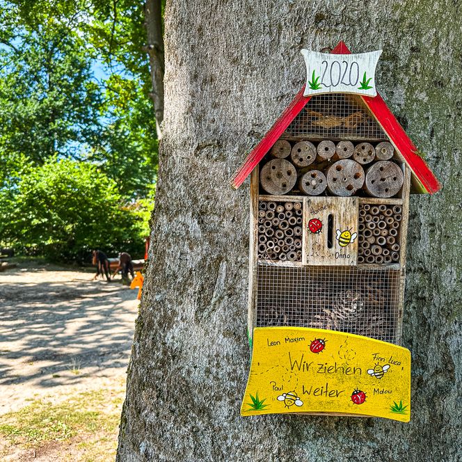 Selbstgestaltetes Insektenhotel am Baum auf dem Außengelände des Kindergartens Oldendorf/Luhe.